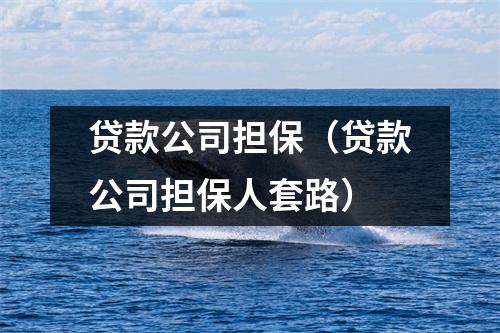 贷款公司担保（贷款公司担保人套路）