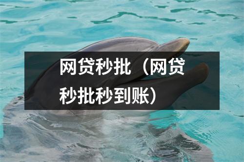 网贷秒批(网贷秒批秒到账)