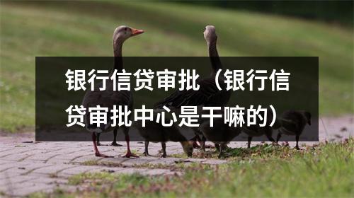 银行信贷审批（银行信贷审批中心是干嘛的）
