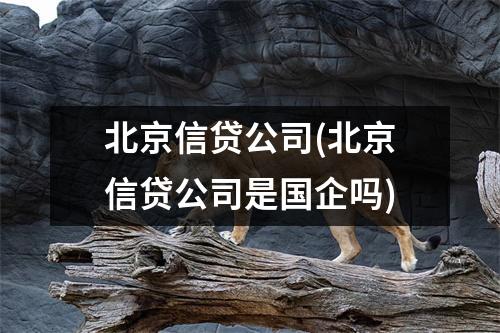 北京信贷公司(北京信贷公司是国企吗)