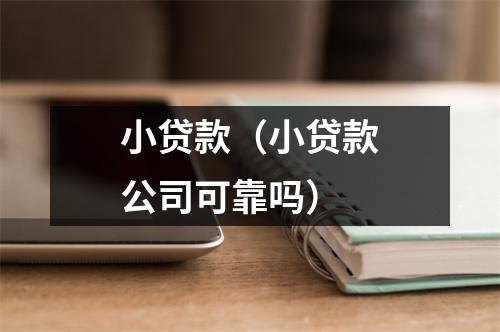 小贷款（小贷款公司可靠吗）