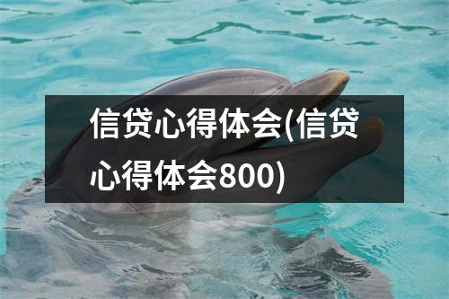 信贷心得体会(信贷心得体会800)