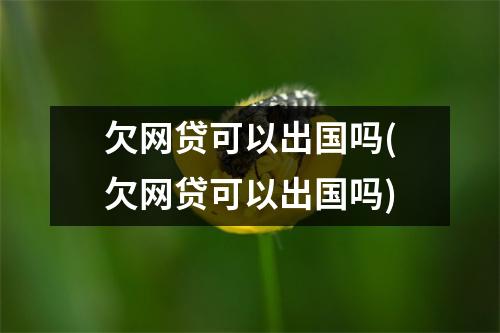 欠网贷可以出国吗(欠网贷可以出国吗)
