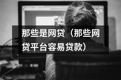 那些是网贷（那些网贷平台容易贷款）