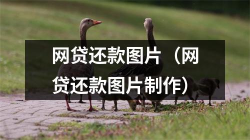 网贷还款图片（网贷还款图片制作）