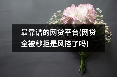 最靠谱的网贷平台(网贷全被秒拒是风控了吗)