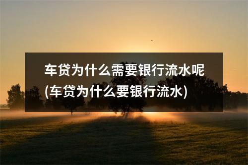 车贷为什么需要银行流水呢(车贷为什么要银行流水)