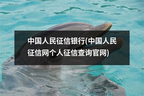 中国人民征信银行(中国人民征信网个人征信查询官网)