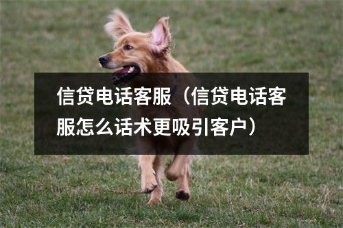 信贷电话客服（信贷电话客服怎么话术更吸引客户）