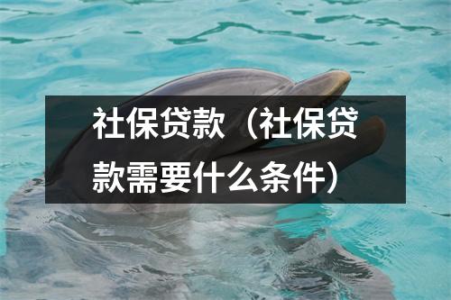 社保贷款（社保贷款需要什么条件）