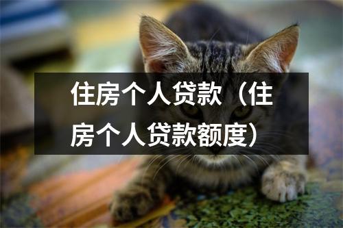 住房个人贷款（住房个人贷款额度）