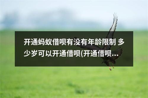 开通蚂蚁借呗有没有年龄限制 多少岁可以开通借呗(开通借呗有年龄限制吗)