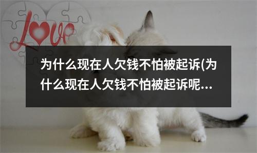 为什么现在人欠钱不怕被起诉(为什么现在人欠钱不怕被起诉呢)