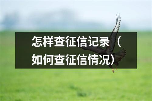 怎样查征信记录（如何查征信情况）