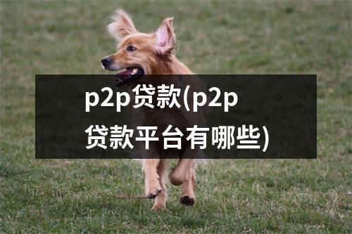p2p贷款(p2p贷款平台有哪些)