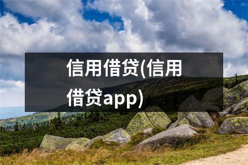 信用借贷(信用借贷app)