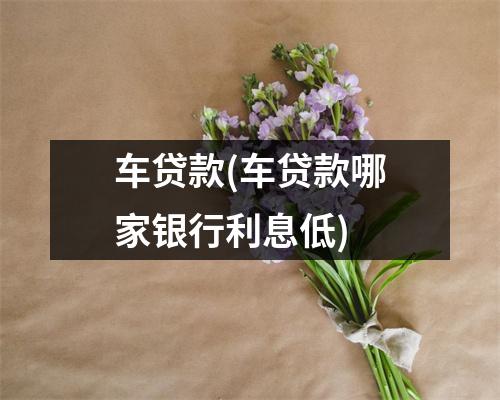 车贷款(车贷款哪家银行利息低)