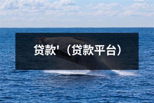 贷款'（贷款平台）