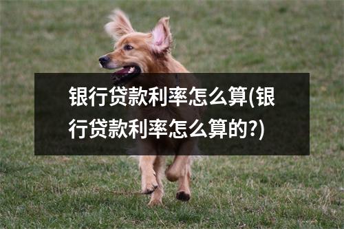 银行贷款利率怎么算(银行贷款利率怎么算的?)