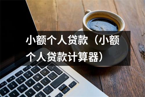 小额个人贷款（小额个人贷款计算器）