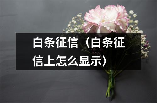 白条征信（白条征信上怎么显示）