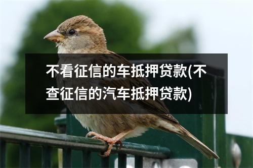 不看征信的车抵押贷款(不查征信的汽车抵押贷款)