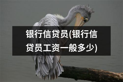 银行信贷员(银行信贷员工资一般多少)