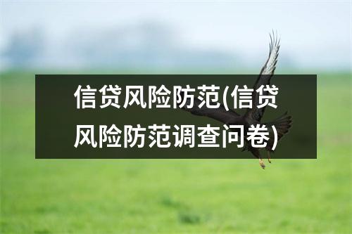 信贷风险防范(信贷风险防范调查问卷)