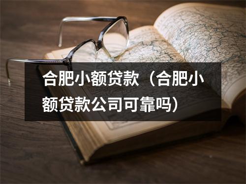 合肥小额贷款(合肥小额贷款公司可靠吗)