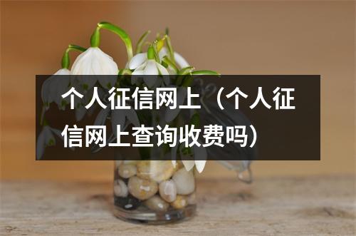 个人征信网上(个人征信网上查询收费吗)
