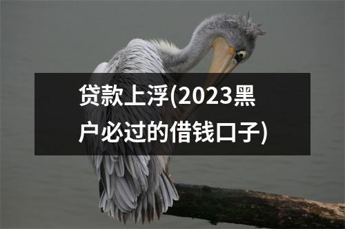 贷款上浮(2023黑户必过的借钱口子)