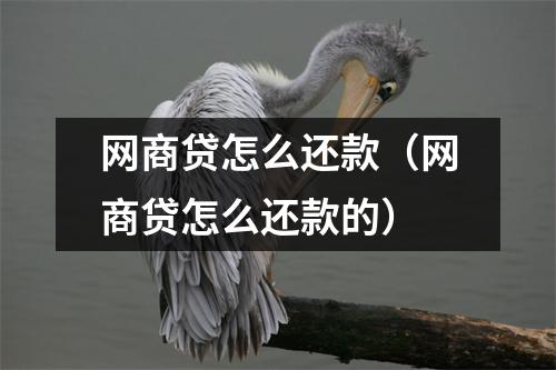 网商贷怎么还款（网商贷怎么还款的）