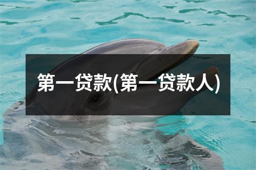 第一贷款(第一贷款人)