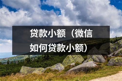 贷款小额（微信如何贷款小额）