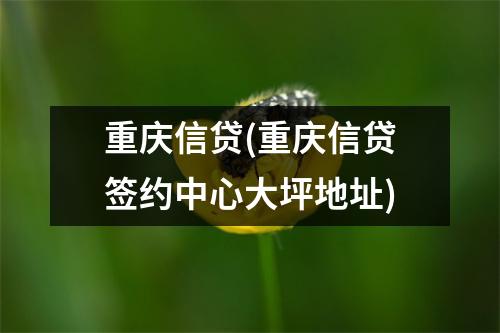 重庆信贷(重庆信贷签约中心大坪地址)