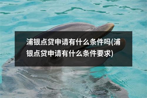 浦银点贷申请有什么条件吗(浦银点贷申请有什么条件要求)