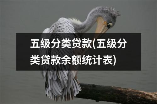 五级分类贷款(五级分类贷款余额统计表)