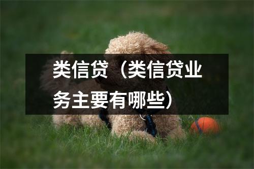 类信贷（类信贷业务主要有哪些）