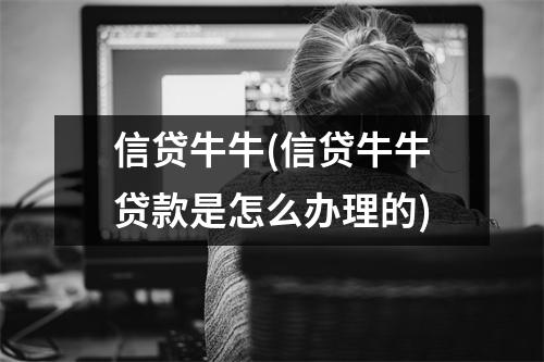 信贷牛牛(信贷牛牛贷款是怎么办理的)