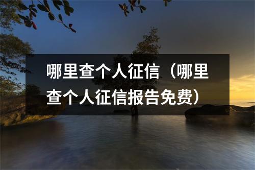 哪里查个人征信（哪里查个人征信报告免费）
