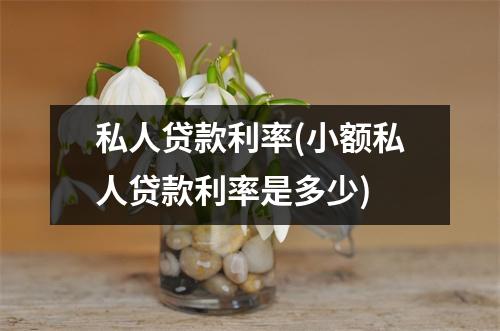 私人贷款利率(小额私人贷款利率是多少)