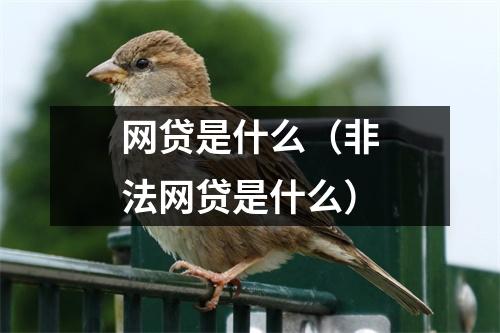 网贷是什么（非法网贷是什么）