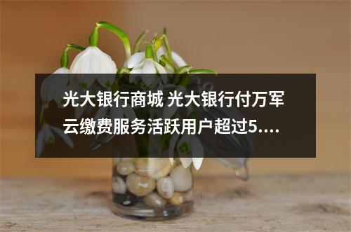 光大银行商城 光大银行付万军 云缴费服务活跃用户超过5.6亿