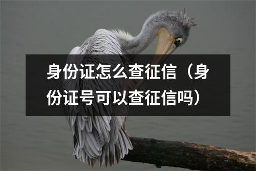 身份证怎么查征信（身份证号可以查征信吗）
