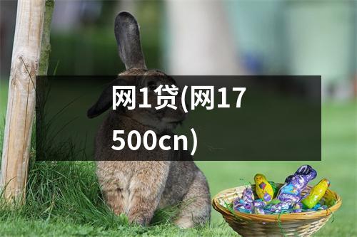 网1贷(网17500cn)