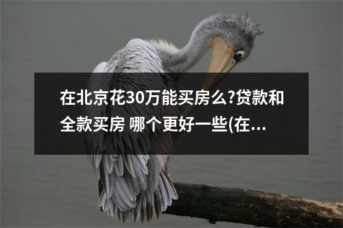 在北京花30万能买房么?贷款和全款买房 哪个更好一些(在北京花30万能买房么?贷款和全款买房 哪个更好一点)