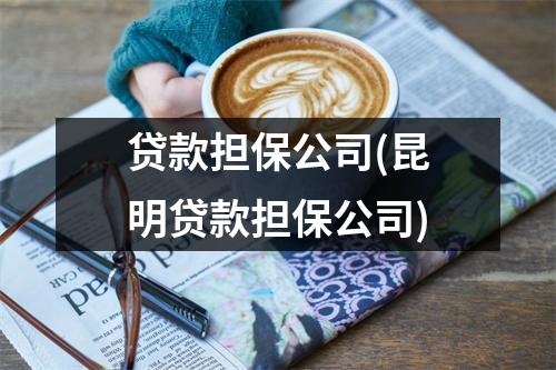 贷款担保公司(昆明贷款担保公司)