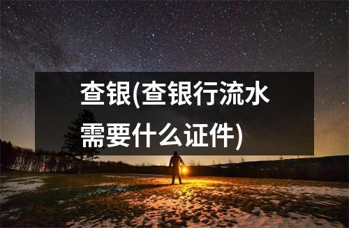 查银(查银行流水需要什么证件)