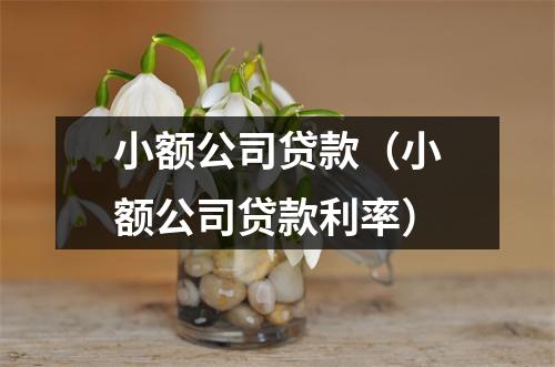 小额公司贷款(小额公司贷款利率)
