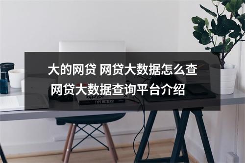 大的网贷 网贷大数据怎么查 网贷大数据查询平台介绍